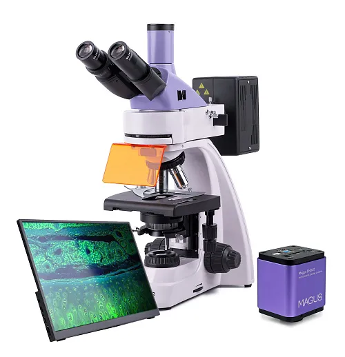 resim MAGUS Lum D400 LCD Floresan Dijital Mikroskop