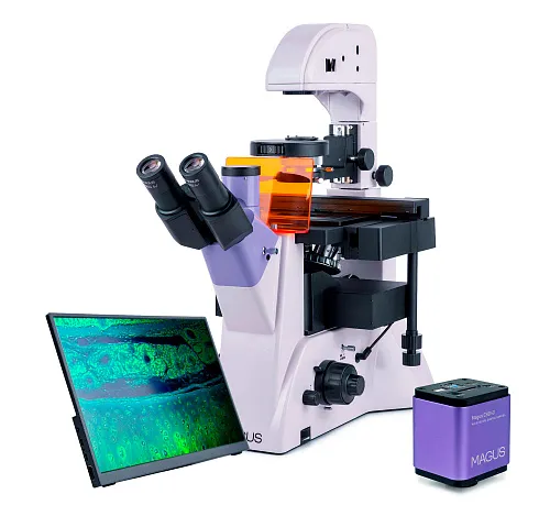 fotoğraf MAGUS Lum VD500L LCD Floresan İnverted Dijital Mikroskop