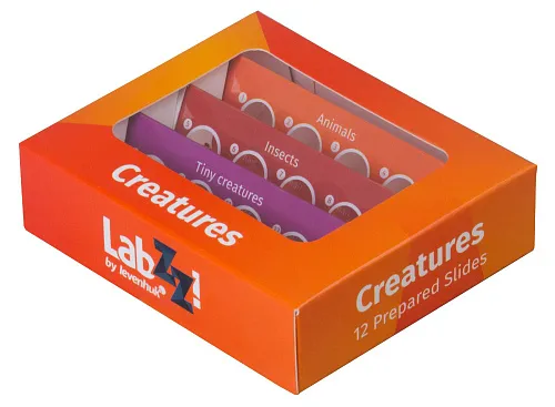 fotoğraf Levenhuk LabZZ C12 Canlılar Hazırlanmış Slayt Seti,  1