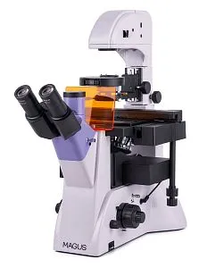fotoğraf MAGUS Lum V500L Floresan İnverted Mikroskop