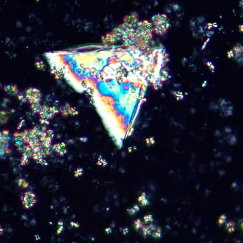 görüntü MAGUS Pol D850 Polarize Dijital Mikroskop,  25