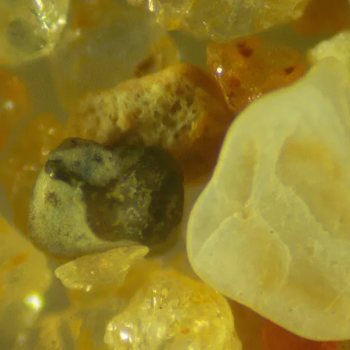 görüntü MAGUS Stereo 9T Stereomikroskop,  21