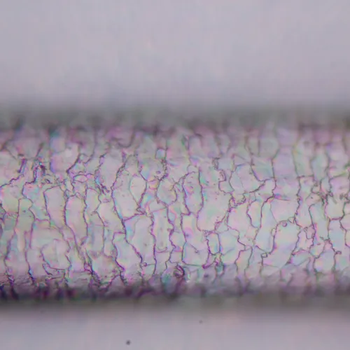 görüntü MAGUS Pol 800 Polarize Mikroskop,  19