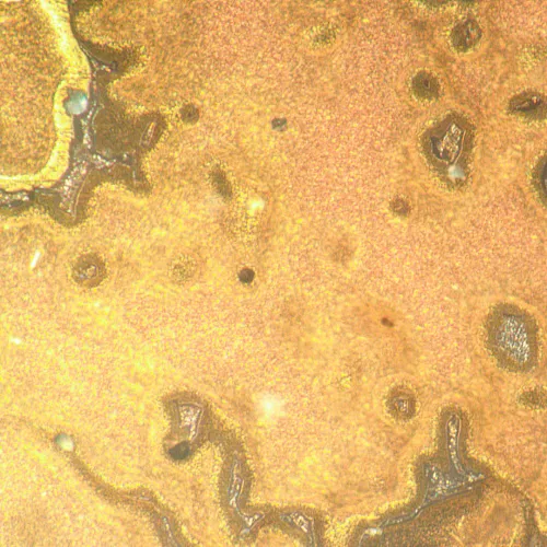 fotoğraf MAGUS Metal V790 DIC Metalurji İnverted Mikroskop,  21