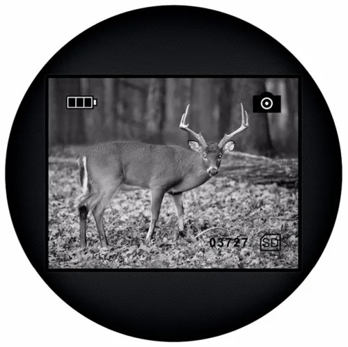 foto Levenhuk Atom Digital DNM100 Gece Görüşlü Monoküler Dürbün,  12