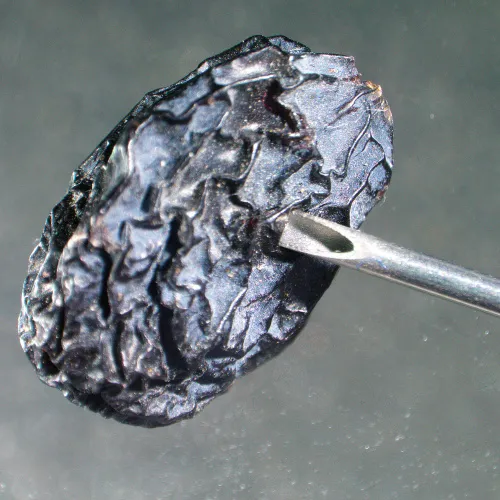 görüntü MAGUS Stereo A6 Stereomikroskop,  14