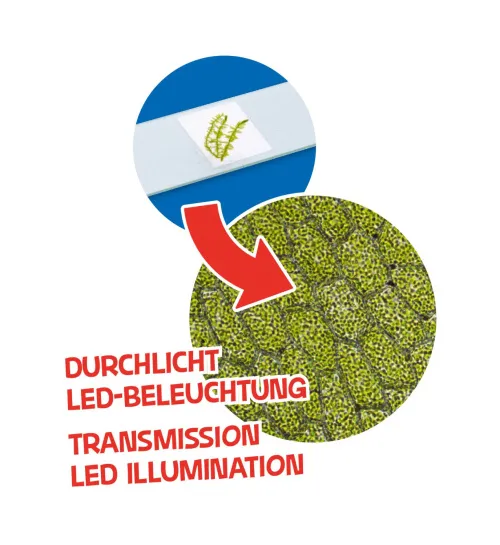 foto Bresser Junior Microscope & Telescope Set,  7