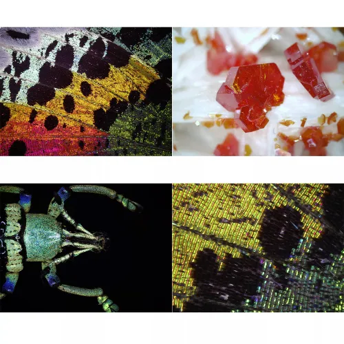 resim Bresser DST1028 USB Digital Microscope,  4