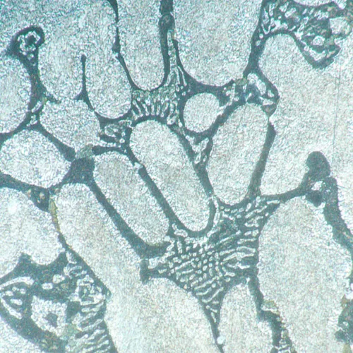 görüntü MAGUS Metal V700 Metalurji İnverted Mikroskop,  16