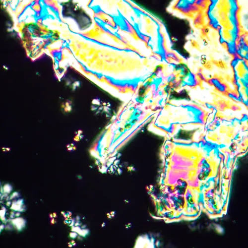 görüntü MAGUS Pol 890 Polarize Mikroskop,  25