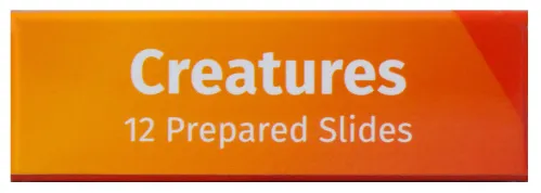 fotoğraf Levenhuk LabZZ C12 Canlılar Hazırlanmış Slayt Seti,  8