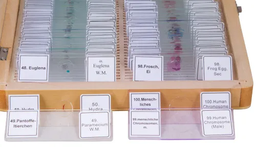 resim Bresser Prepared Slides Set 100pcs, with case,  4