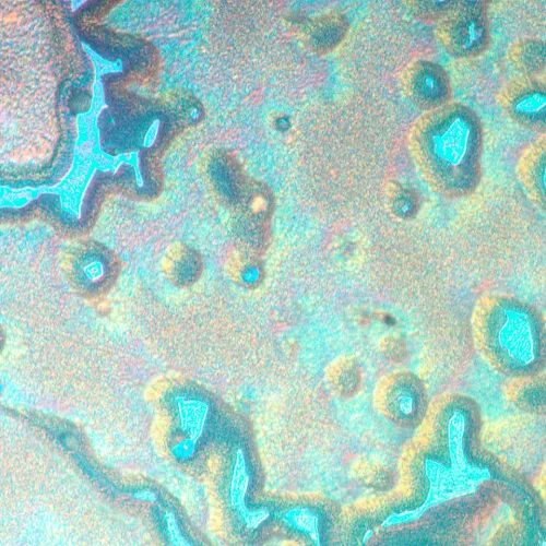 fotoğraf MAGUS Metal V790 DIC Metalurji İnverted Mikroskop,  20