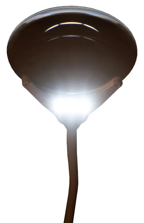 fotoğraf Levenhuk Zeno Lamp ZL13 Büyüteç,  10