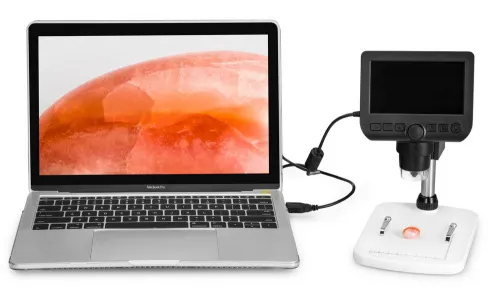 görüntü Levenhuk DTX 350 LCD Dijital Mikroskop,  14