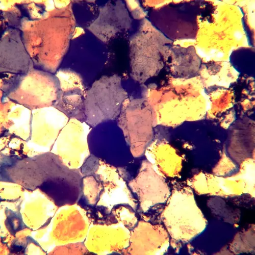 görüntü MAGUS Pol 890 Polarize Mikroskop,  26