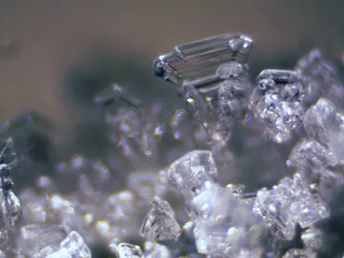 resim Bresser Erudit ICD Stereo Microscope,  12