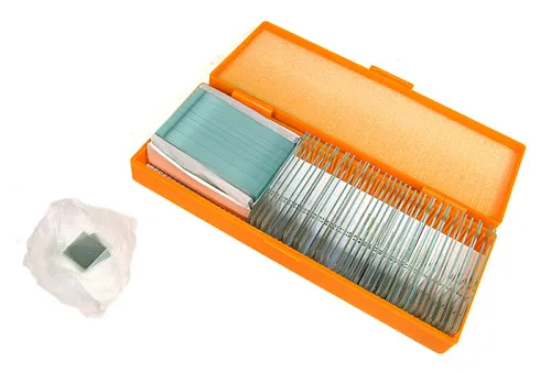 fotoğraf Levenhuk N38 NG Hazırlanmış Slayt Seti,  3