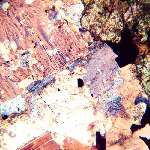 görüntü MAGUS Pol 800 Polarize Mikroskop,  16