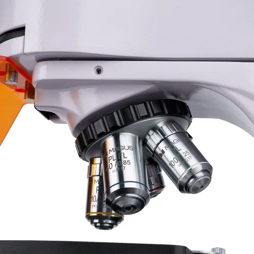 resim MAGUS Lum D400 Floresan Dijital Mikroskop,  13