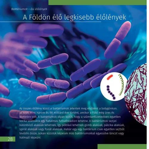resim Görünmez Dünya. Bilgilendirici kitap. Ciltli kapak,  9