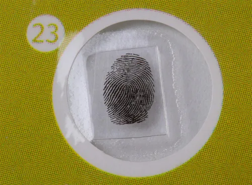 görüntü Levenhuk LabZZ P12 Bitkiler Hazırlanmış Slayt Seti,  7