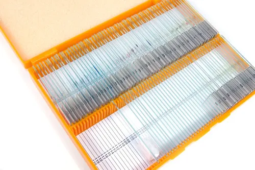 resim Levenhuk N80 NG “Her şeyi görün” Slayt Seti,  3