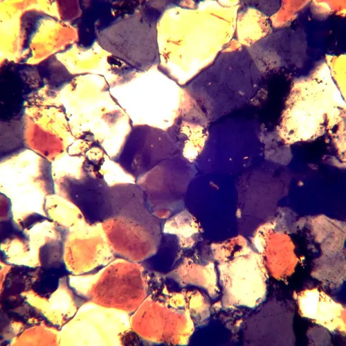 görüntü MAGUS Pol D850 Polarize Dijital Mikroskop,  26