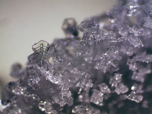 resim Bresser Erudit ICD Stereo Microscope,  11