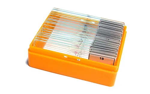 resim Levenhuk N18 NG Hazırlanmış Slayt Seti,  5