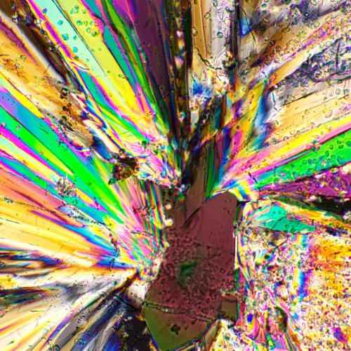 foto MAGUS SPD1 Polarizör/Analizör Seti,  3