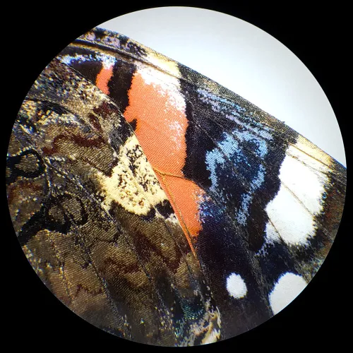 görüntü Bresser Analyth STR 10x - 40x stereo microscope,  6