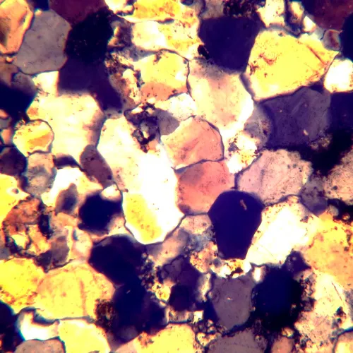 görüntü MAGUS Pol 800 Polarize Mikroskop,  18