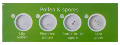 görüntü Levenhuk LabZZ P12 Bitkiler Hazırlanmış Slayt Seti,  3