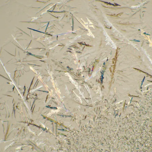 resim MAGUS Bio 230B Biyoloji Mikroskobu,  23