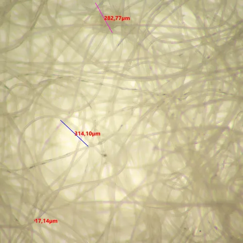 görüntü MAGUS Stereo 9T Stereomikroskop,  20