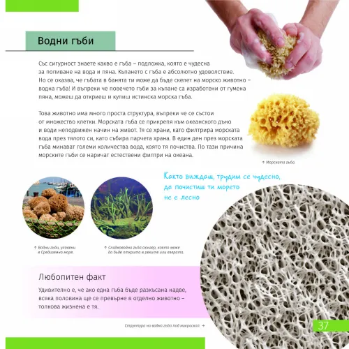 resim Uzay. Mikro dünya. Bilgilendirici kitap (iki ciltli sürüm). Ciltli kapak,  11