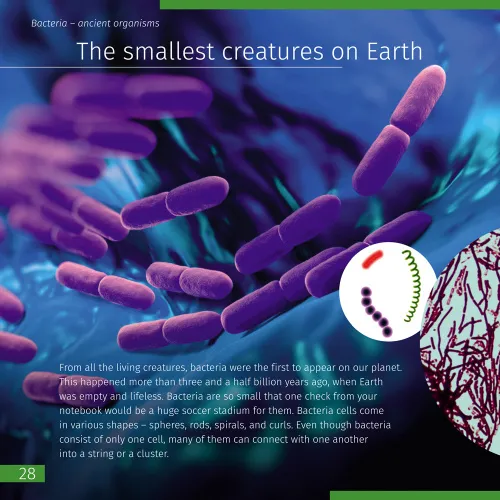 foto Uzay. Mikro Dünya. 2 cilt Bilgilendirici Kitap,  10