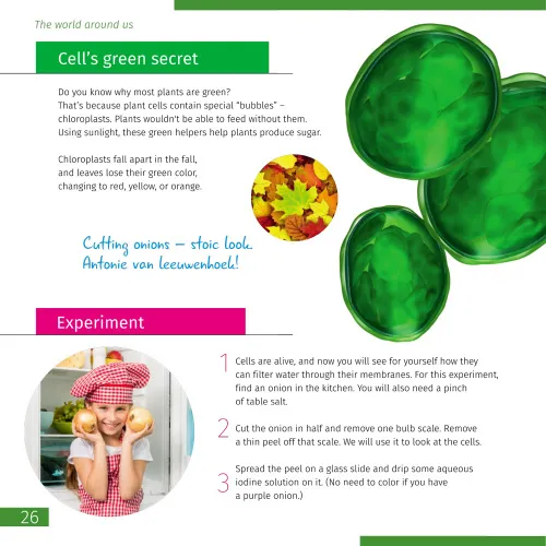 foto Uzay. Mikro Dünya. 2 cilt Bilgilendirici Kitap,  11