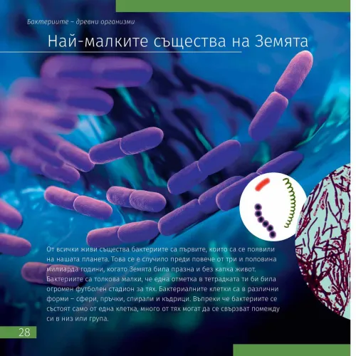 resim Uzay. Mikro dünya. Bilgilendirici kitap (iki ciltli sürüm). Ciltli kapak,  9