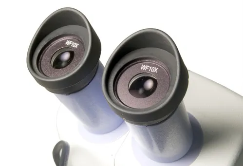 görüntü Levenhuk 5ST Mikroskop,  6