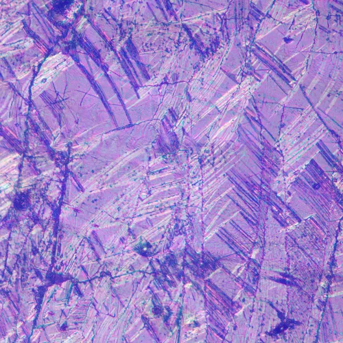 fotoğraf MAGUS Metal V700 DIC Metalurji İnverted Mikroskop,  17