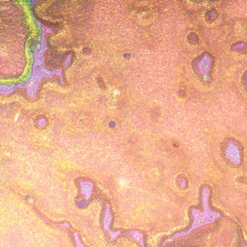 fotoğraf MAGUS Metal V790 DIC Metalurji İnverted Mikroskop,  22