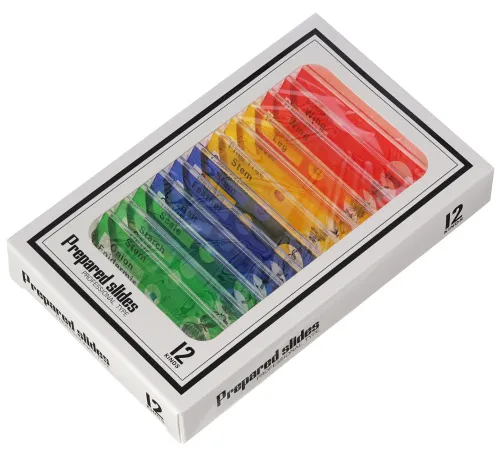 görüntü Levenhuk Rainbow DM500 LCD Dijital Mikroskop,  12