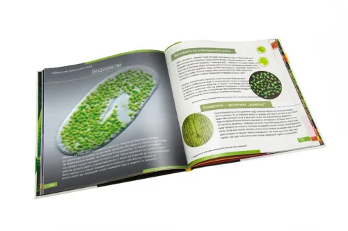 resim Görünmez Dünya. Bilgilendirici kitap. Ciltli kapak,  9