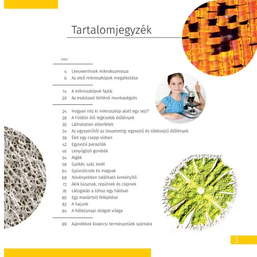 resim Görünmez Dünya. Bilgilendirici kitap. Ciltli kapak,  6