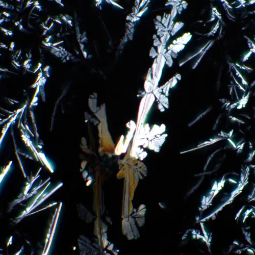 foto MAGUS SPD1 Polarizör/Analizör Seti,  7