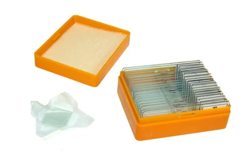 foto Levenhuk N20 NG Hazırlanmış Slayt Seti,  3