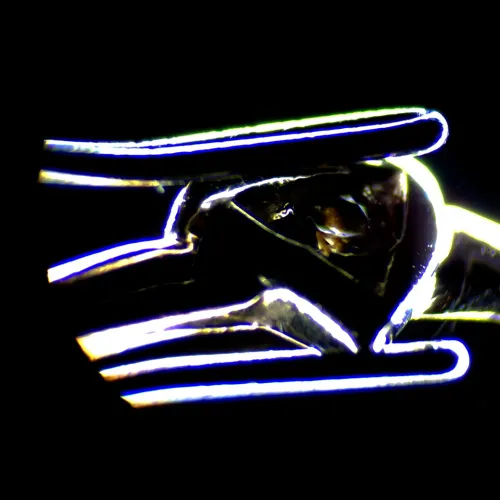 görüntü MAGUS Stereo 7B Stereomikroskop,  18