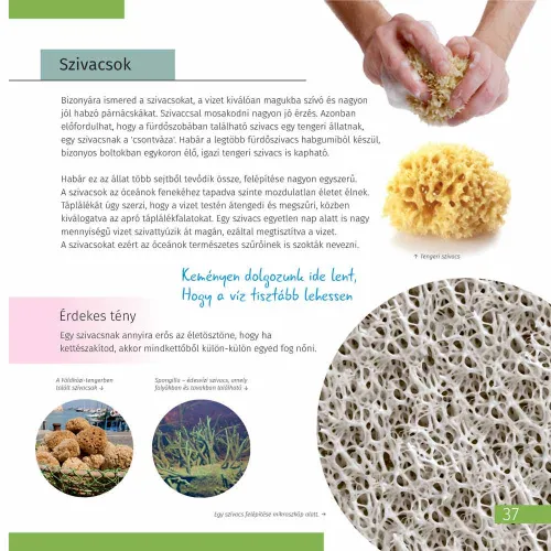 resim Görünmez Dünya. Bilgilendirici kitap. Ciltli kapak,  11